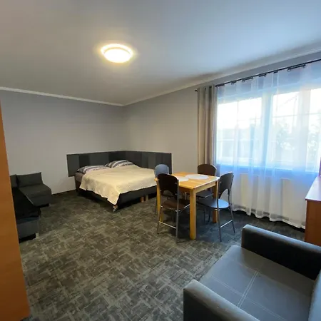 Проживание в семье U Doroty